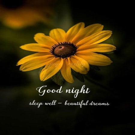 31+Beautiful Good Night Images For Whatsapp Download!! - Happy Birthday ...