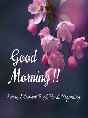 Best Good Morning Image | Good Morning Images HD Download