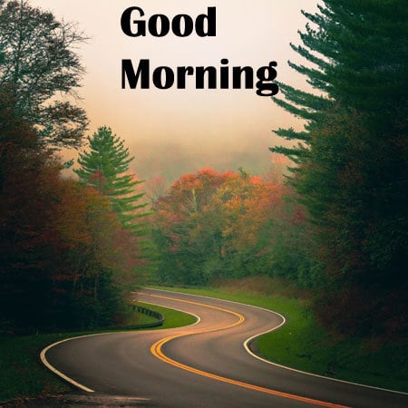 Latest Good Morning Wallpaper For WhatsApp HD Download